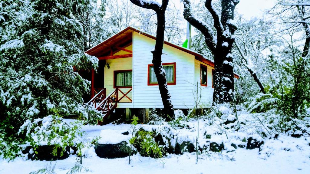 Bosque Encantado Chillán • Valle las Trancas ᐉ Tranks.cl