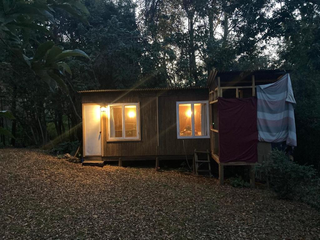 Bosque Encantado Chillán • Valle las Trancas ᐉ Tranks.cl